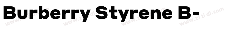 Burberry Styrene B字体转换
